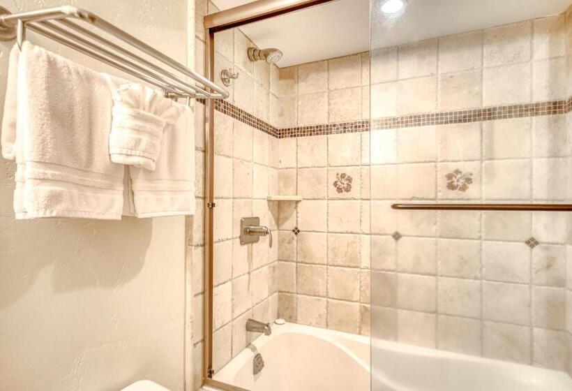 فندق Kaanapali Shores 804