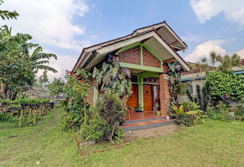 Отель Oyo Homes 90849 Cibeunying Homestay Cibodas Maribaya