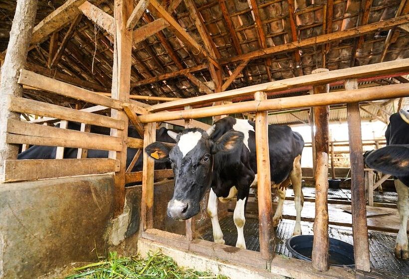 ホテル Oyo Homes 91009 Eco Tourism Desa Cibodas Areng 4 Syariah