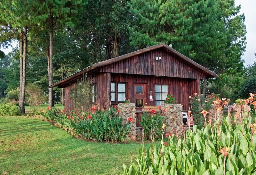 בית מלון כפרי Rainbow Lodge