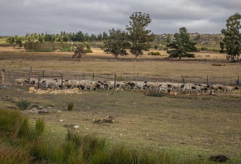 בית מלון כפרי Shanzeley Guest House