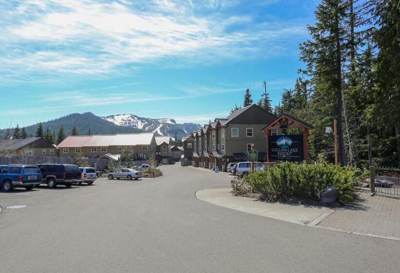 호텔 The Chefs Chalet At Collins Lake