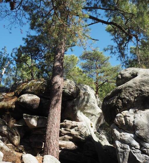 بنسيون A L Orée De La Forêt
