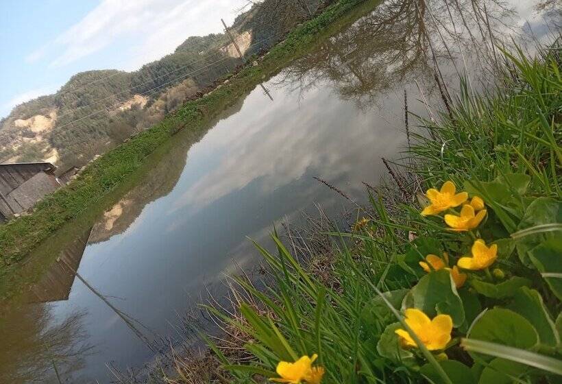 膳宿费 Room In B&b   Camping Retreat Mountain Sanctuary