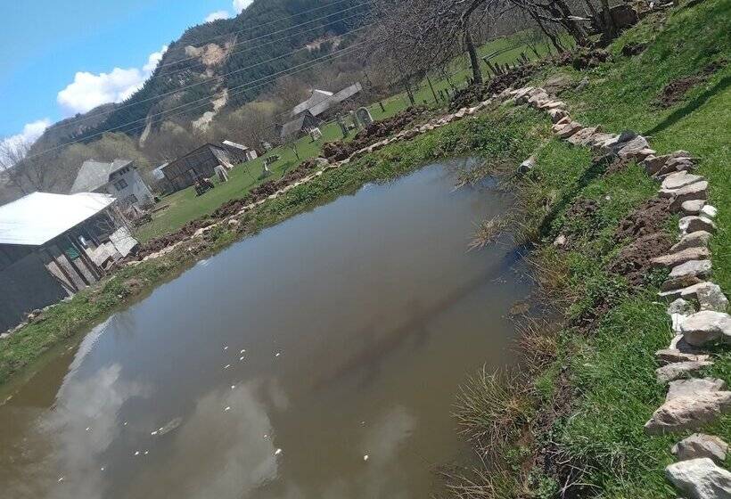 膳宿费 Room In B&b   Camping Retreat Mountain Sanctuary