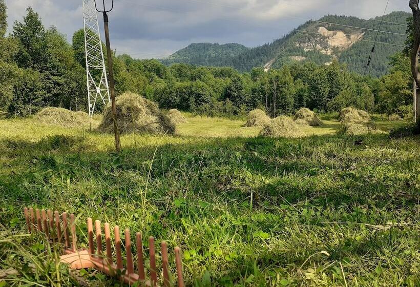 膳宿费 Room In B&b   Camping Retreat Mountain Sanctuary