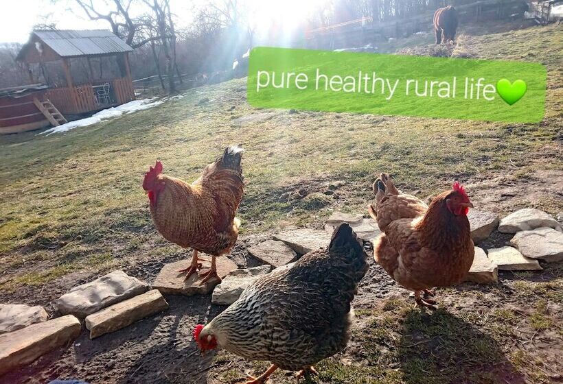 Пансион Room In B&b   Camping Retreat Mountain Sanctuary