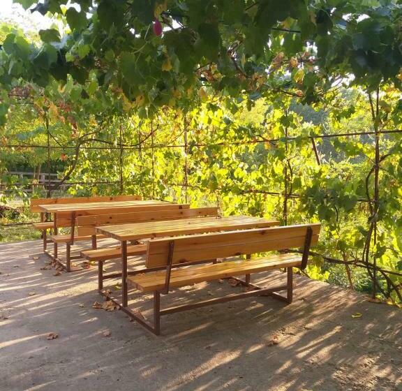 פנסיון Zalán Vendégház