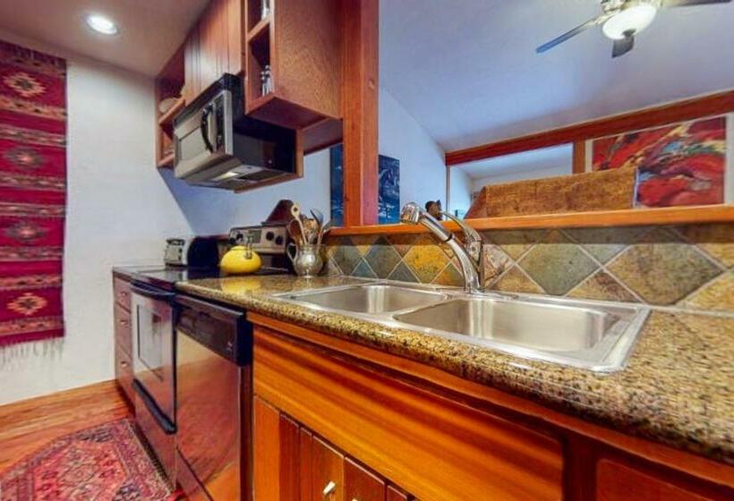 فندق 1123 Indian Paintbrush