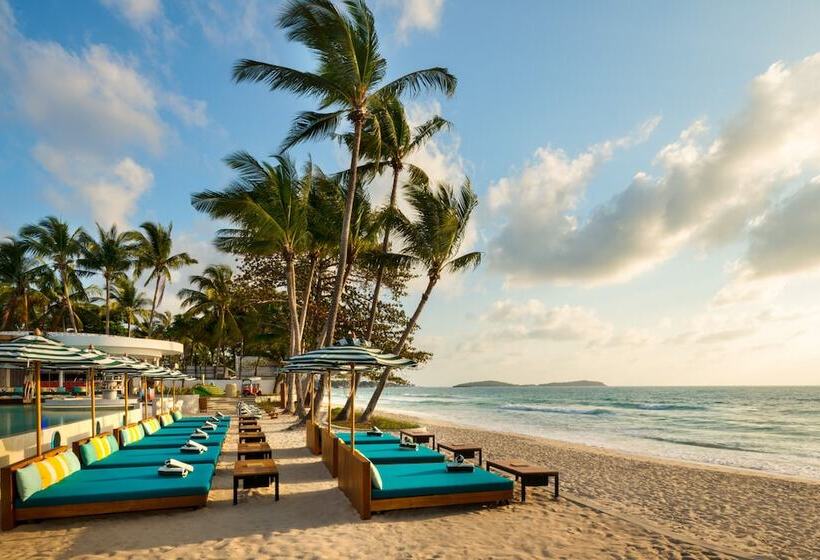 Avani Chaweng Samui Hotel & Beach Club   Adults Only