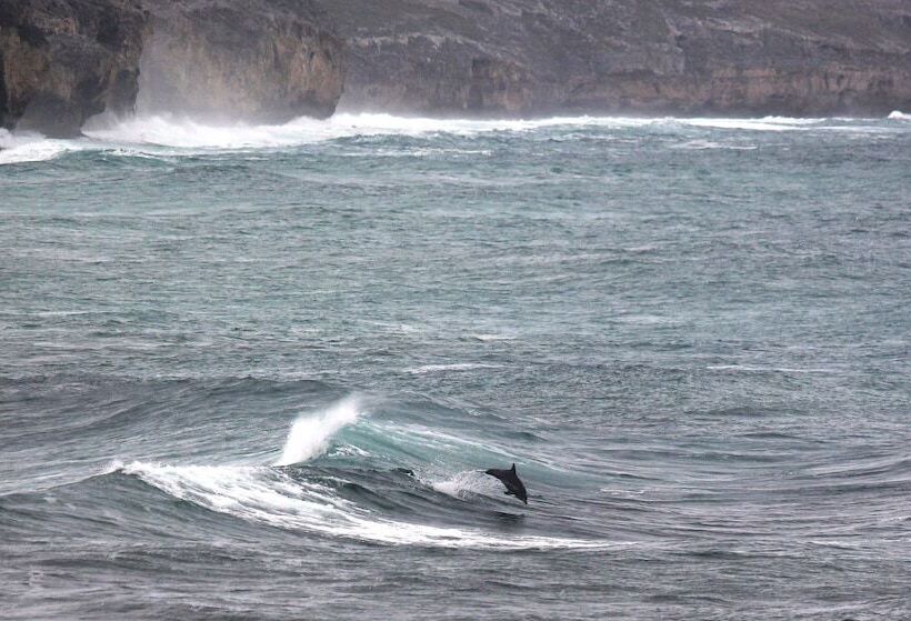 فندق Hanson Bay Wildlife Sanctuary And Cabins