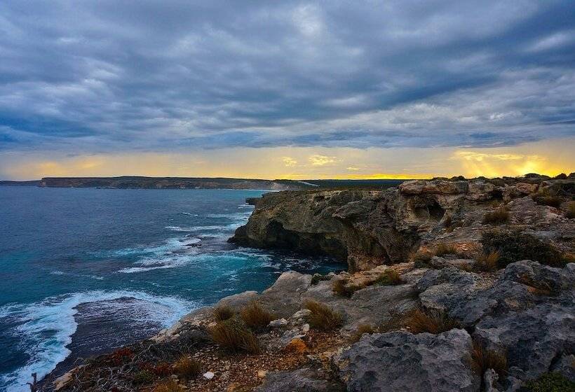 فندق Hanson Bay Wildlife Sanctuary And Cabins