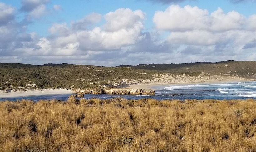 فندق Hanson Bay Wildlife Sanctuary And Cabins