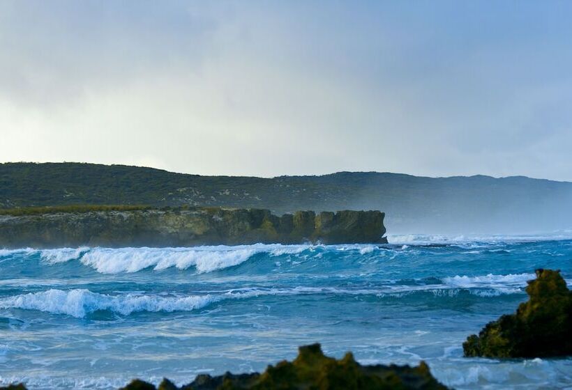 فندق Hanson Bay Wildlife Sanctuary And Cabins