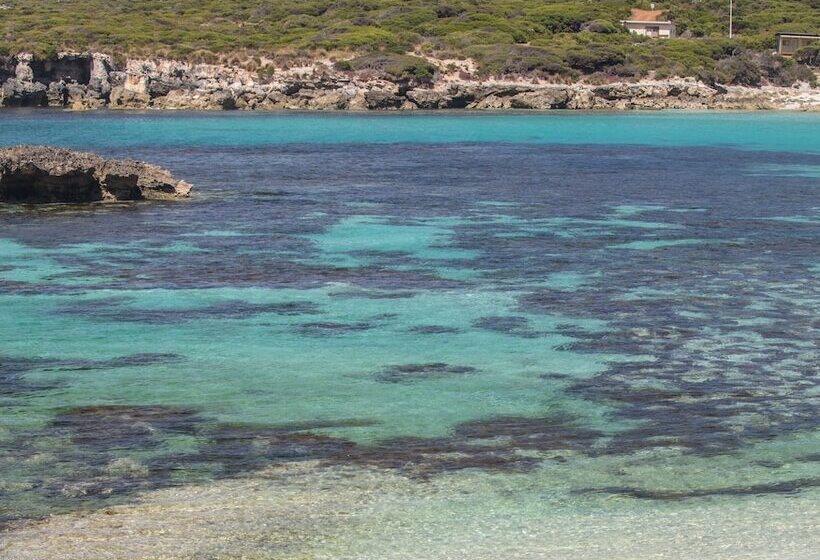 فندق Hanson Bay Wildlife Sanctuary And Cabins