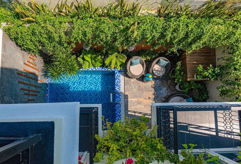 هتل Hoi An Merrily De Art