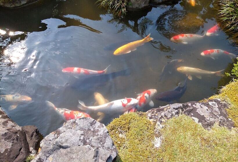 בית מלון כפרי Nouka Minshuku Kajika