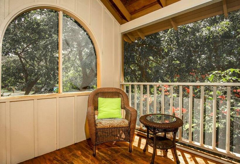 فندق Paniolo Hale B2