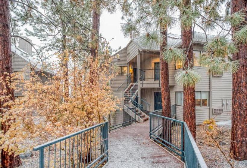 Отель River Ridge 603b