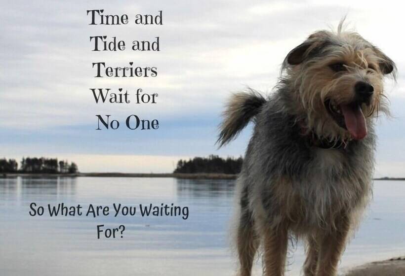 فندق Seawind Landing Country Inn