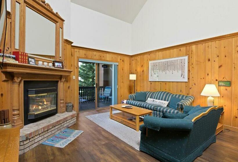 Отель Snowfire 312a