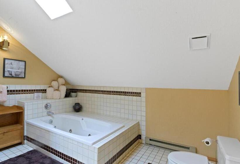 Отель Snowfire 312a