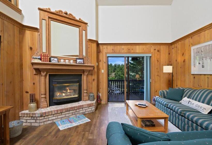 Отель Snowfire 312a