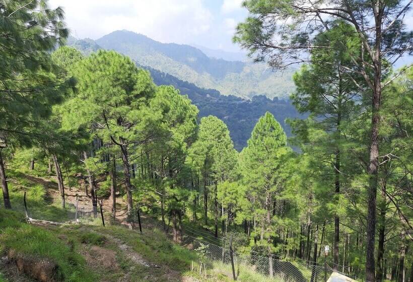 בית מלון כפרי The Woods Retreat