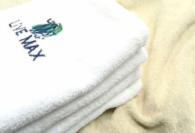 Tennen Onsen Hotel Livemax Premium Nagano Ekimae