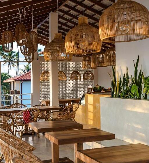 Bed and Breakfast Lucky S Surf Camp