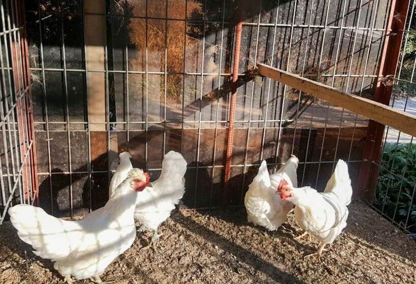 Hotel Boeun Glamping