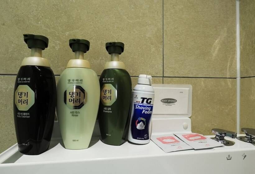 酒店 Seongnam Celint