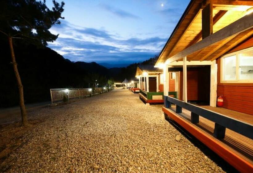 فندق Chuncheon Healing Camp Pension