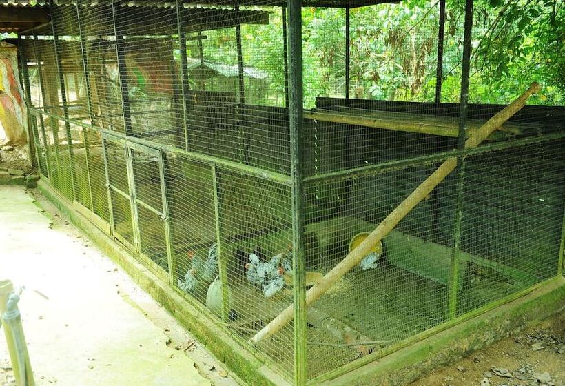 فندق Countryview Recreation Park & Resort