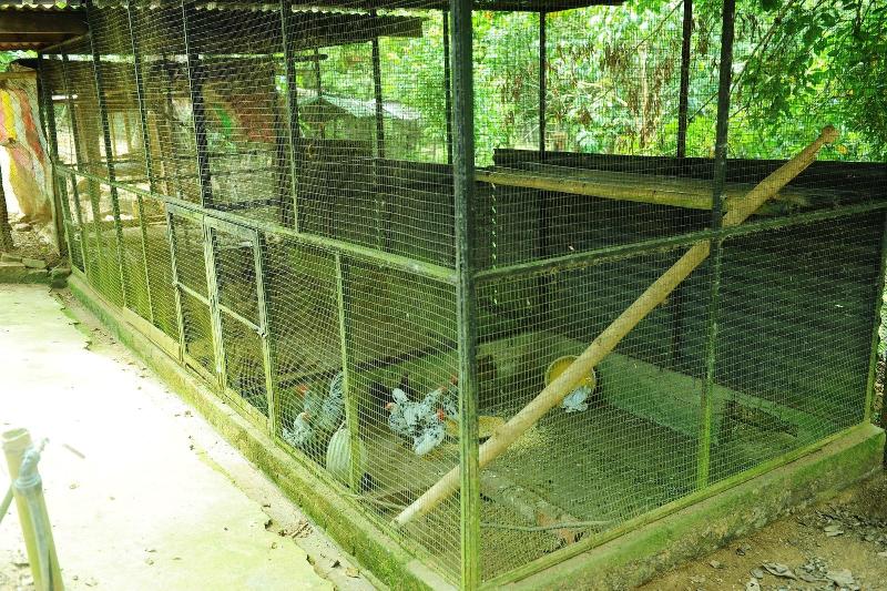 فندق Countryview Recreation Park & Resort