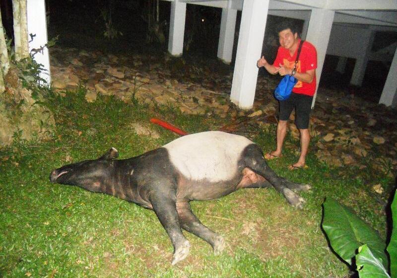 فندق Countryview Recreation Park & Resort