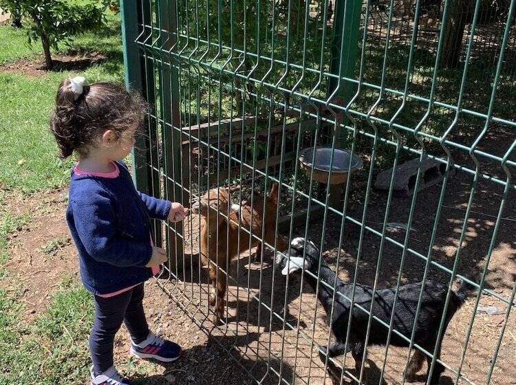 فندق Equi Palace & Spa