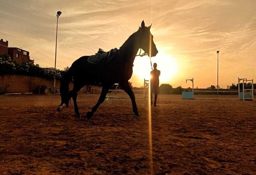 فندق Equi Palace & Spa