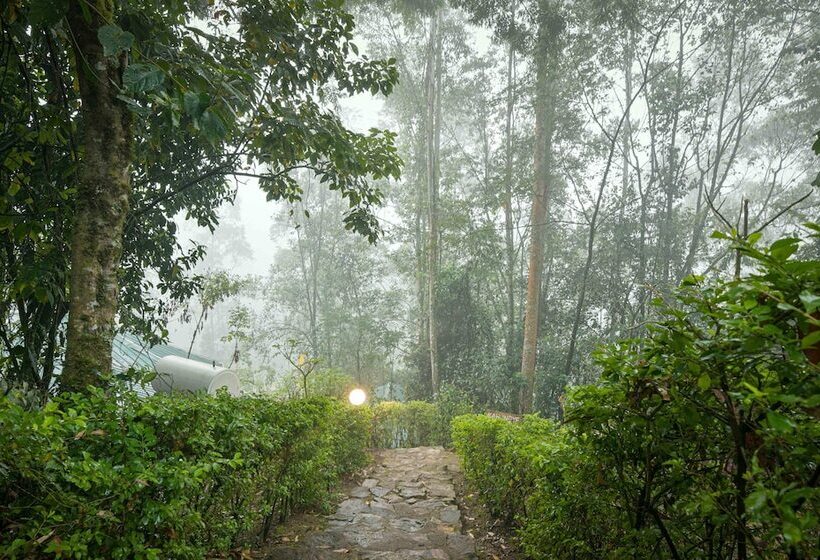 هتل Gorilla Safari Lodge