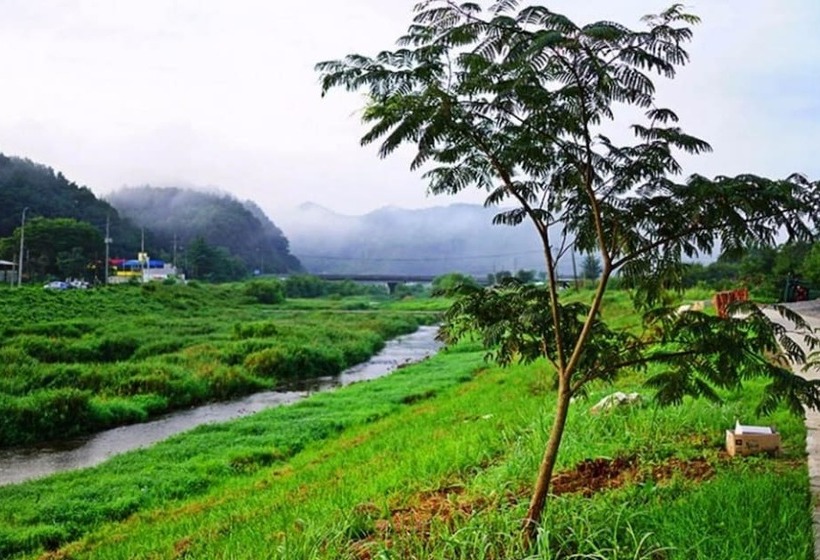 Hôtel Nonsan Byeolbinmaru Pension