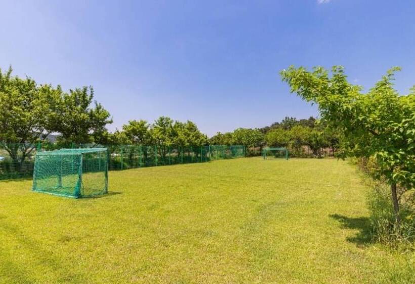 Отель Nonsan Gyebaek Shuimtoe Camping Pension
