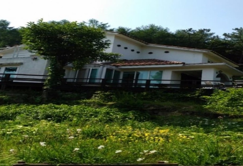 فندق Olive Wanju Pension