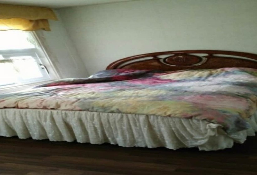 فندق Olive Wanju Pension