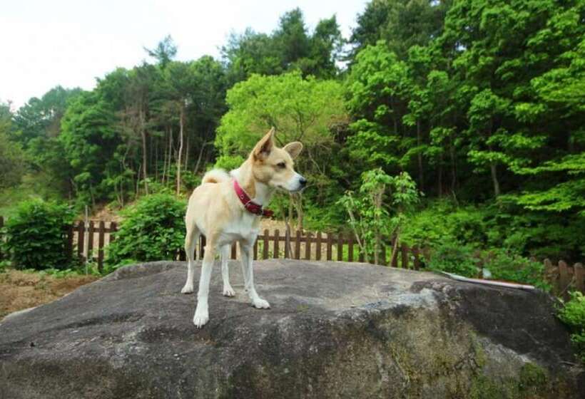 Hotel Yangpyeong Dorothy Valley Pension