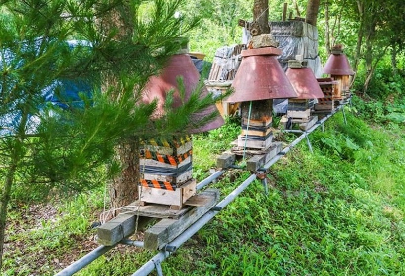 בית מלון כפרי Yangpyeong Gireogi Pension