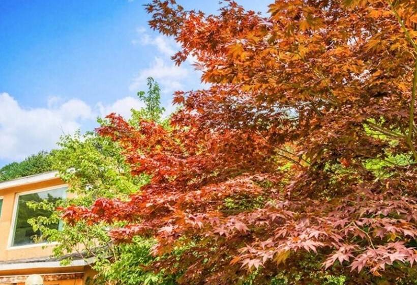 בית מלון כפרי Yangpyeong Gireogi Pension