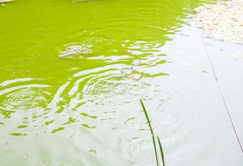 בית מלון כפרי Yangpyeong Gireogi Pension