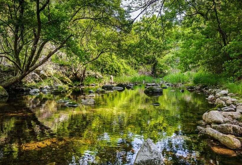 Hotel Yangpyeong Happy Story Pension