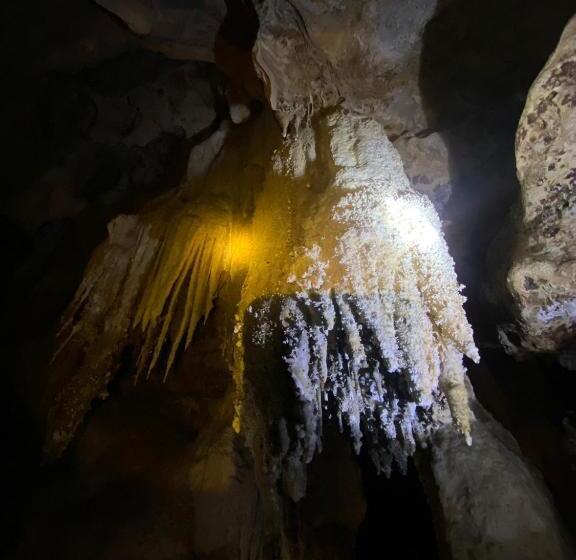 Khaosok Las Orquideas Resort