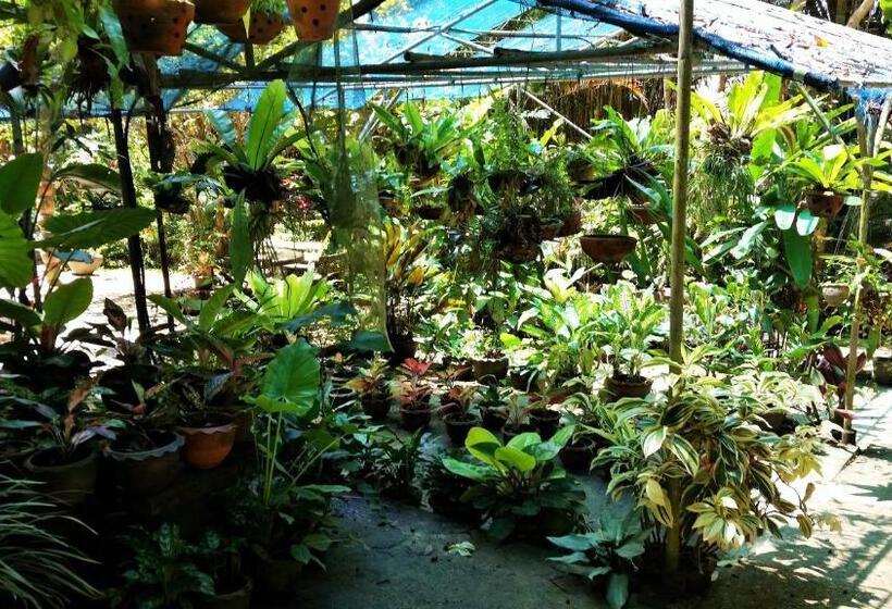 Khaosok Las Orquideas Resort